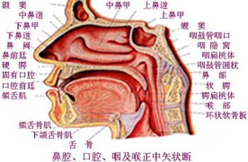 银离子鼻咽康